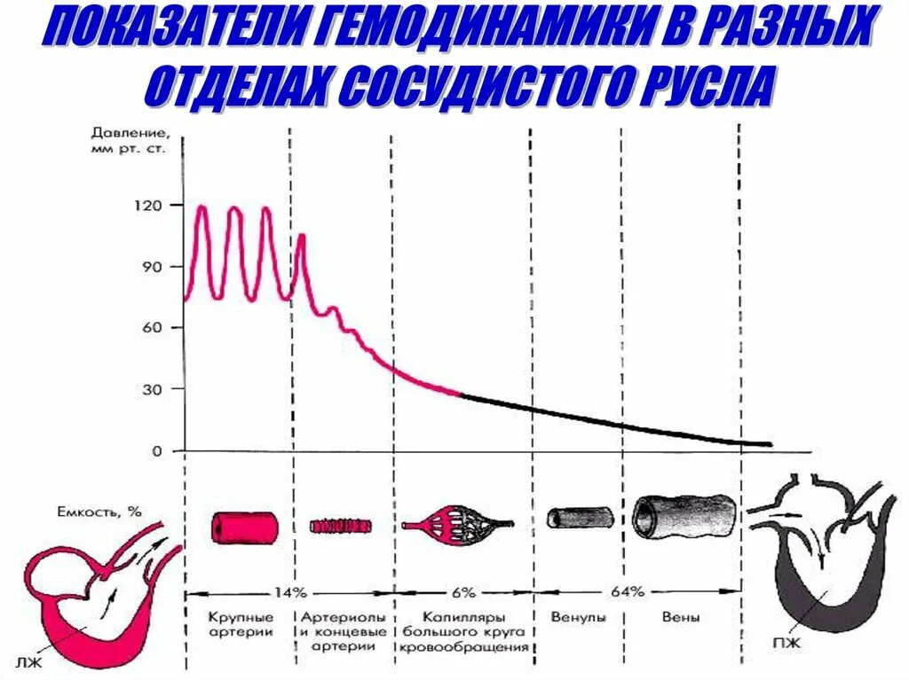 Скорость повышения давления. Изменение показателей гемодинамики по ходу сосудистого русла. Гемодинамические показатели сосудов. Графики изменений показателей гемодинамики (давления крови,. Графики изменений показателей гемодинамики.