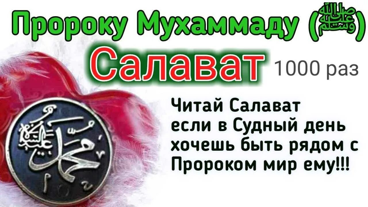 Сколько салаватов есть