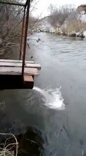 Ситуация с водой