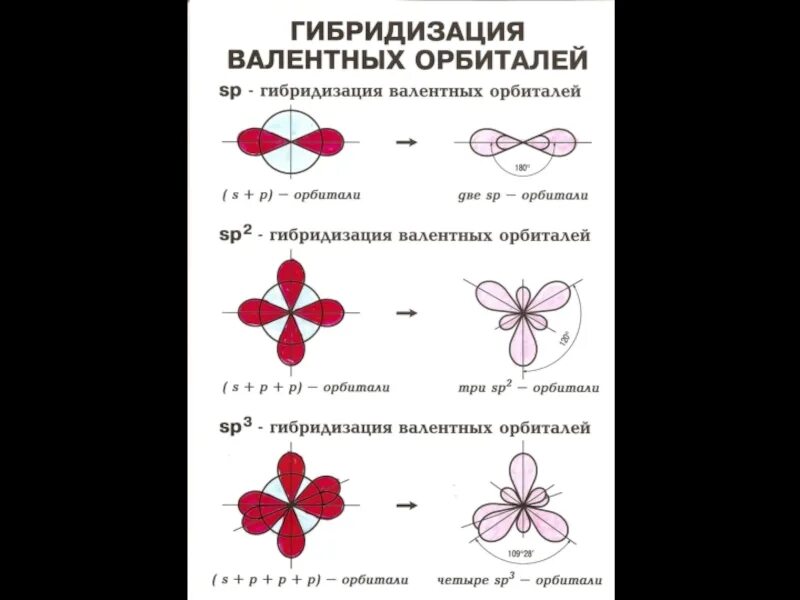 Гибридизация образования. Гибридизация орбиталей (SP-, sp2 -, sp3 -). Sp3 sp2 SP формы орбиталей. Sp3 гибридизация схема. Гибридизация атомных орбиталей sp3.