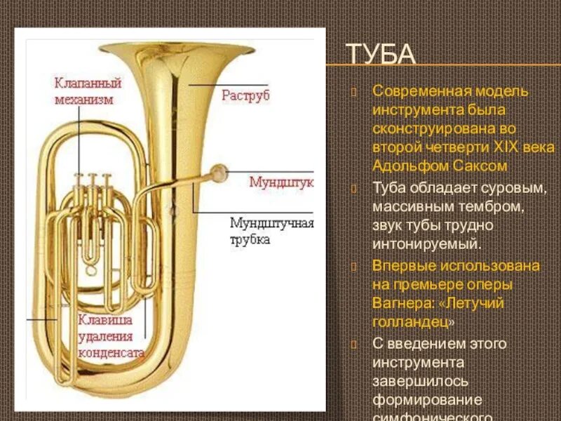 Самый высокий по звучанию медный духовой. Самый высокий медный духовой инструмент. Медный духовой инструмент с мягким тембром. Огромный медный духовой инструмент ф.