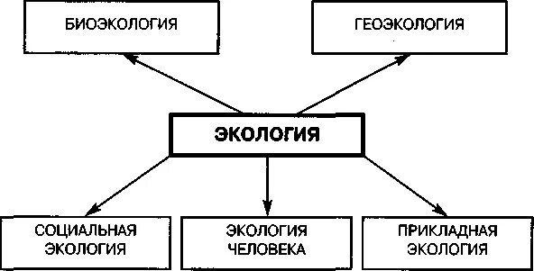 Сущность содержание и направления геоэкологии. Составить схему структура экологии. экология схема. структура современной экологии. основные направления в современной экологии.