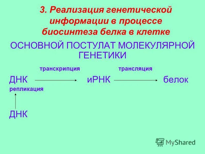 Транскрипция генетической информации. Этапы реализации наследственной информации схема. реализация генетической информации схема. последовательность реализации генетической информации. последовательность реализации генетической информации в клетке.