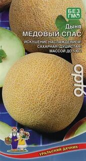 Дыня медовый спас