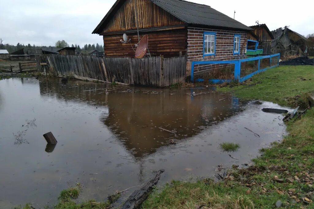Залитая в половодье 6 букв