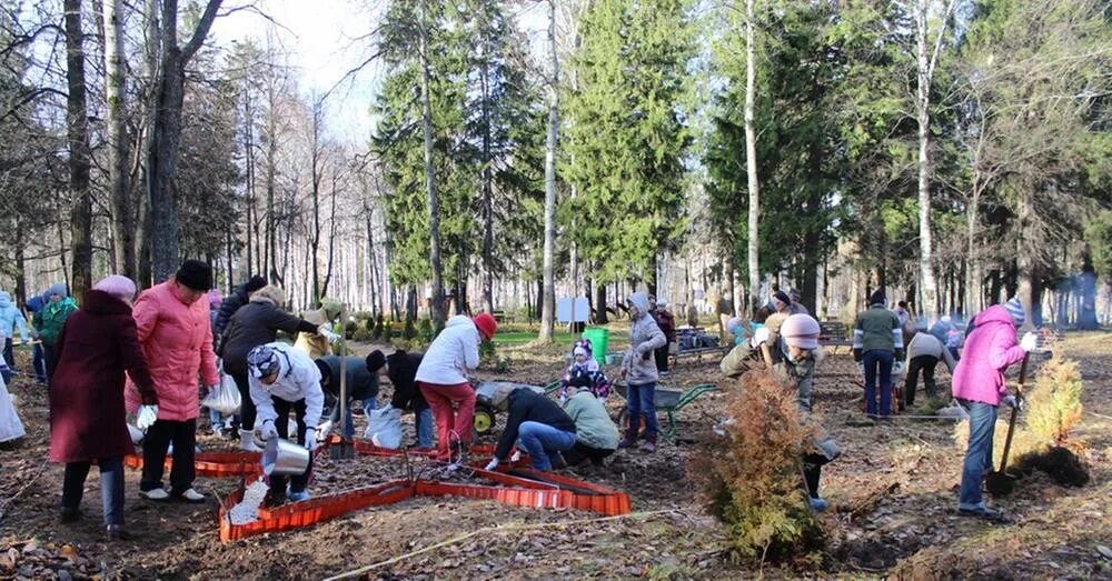 Парк космонавтов беседки