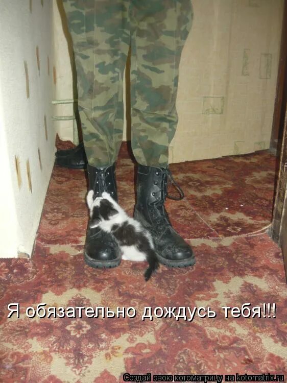 я тебя дождусь. я тебя дождусь. гиркин стрелков мемы про мобилизацию. я обязательно дождусь. игорь стрелков мобилизация мемы.