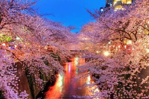 Japan beautiful