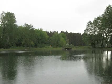 Оз минск