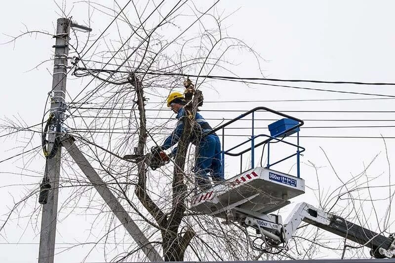Вл 0. Лэп дерево. Деревья под лэп. Деревья под лэп. Кабель вл 10 кв на опоре.