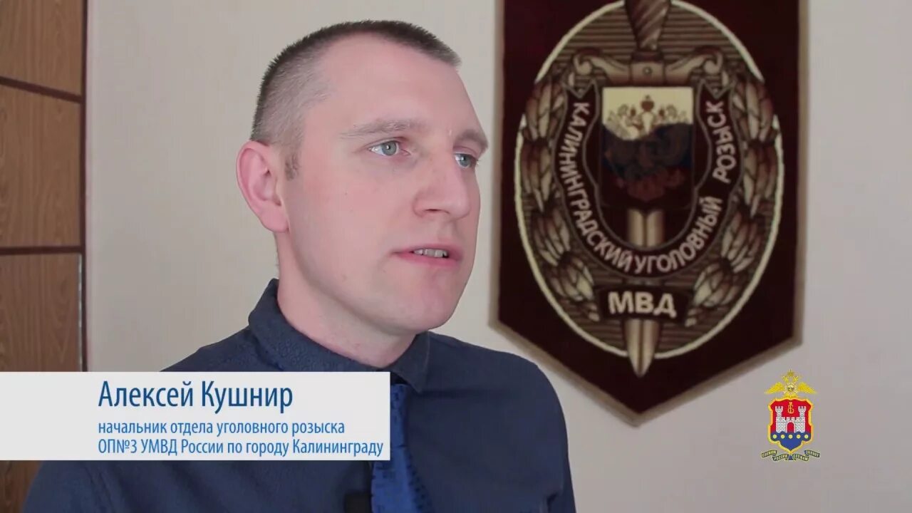 Кушнир тамбов. Кушнир тамбов
