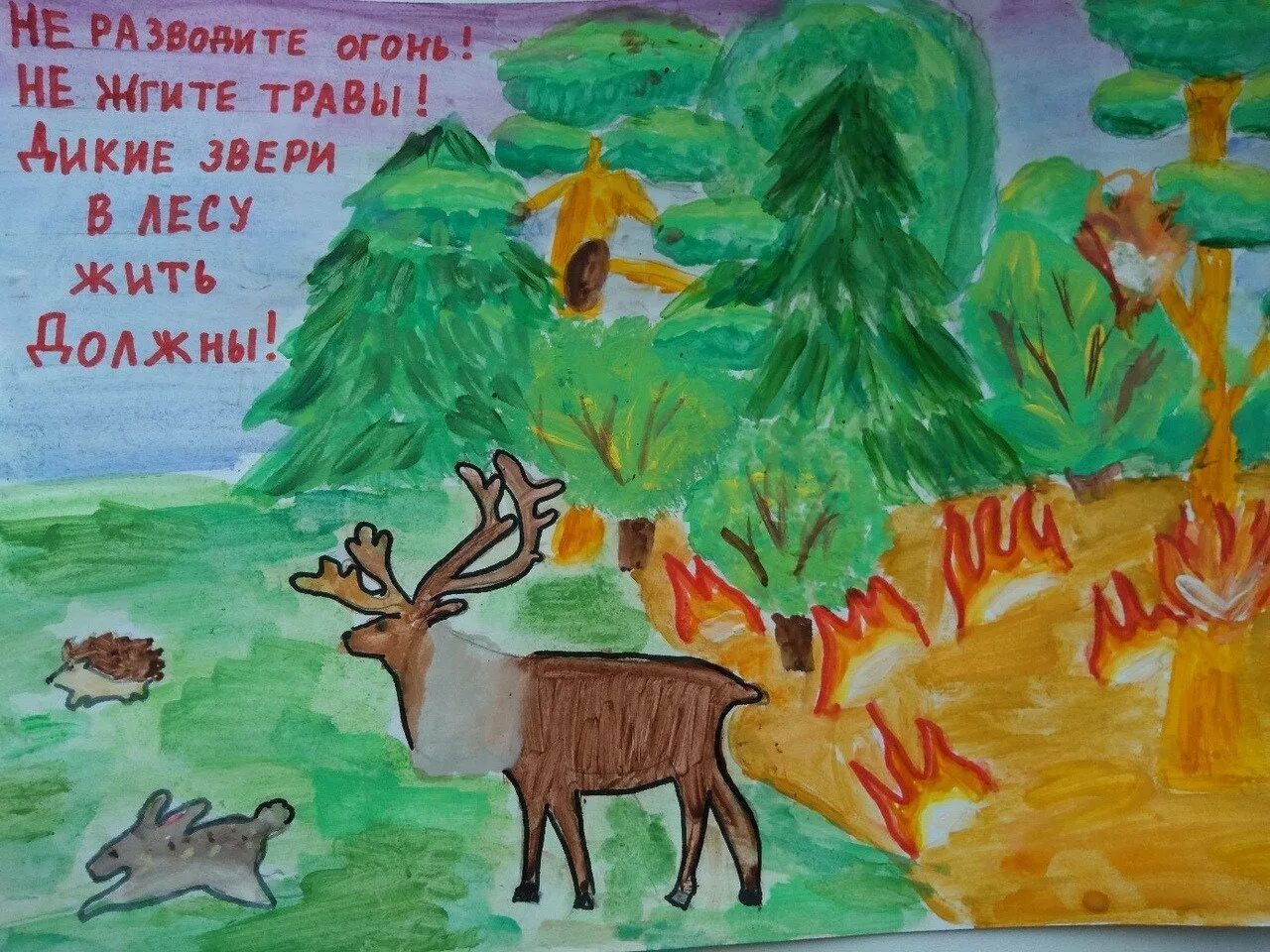 Сохраним природу татарстана. Рисунок на тему лес. Рисунок на тему дети о лесе. Лес глазами детей рисунки. Рисунок день леса.