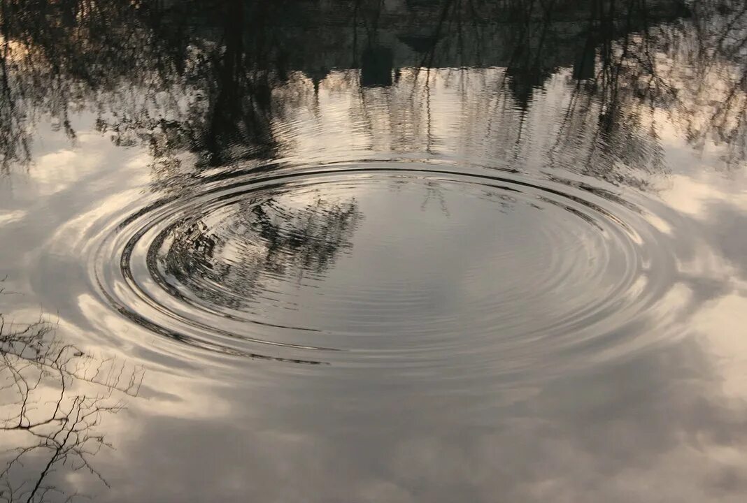 Слушать песню круги на воде. Круги на воде. кги на воде. круги от воды. водяной круг.
