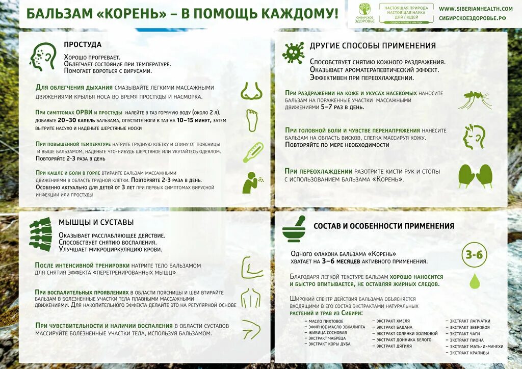 корень сибирское здоровье инструкция отзывы. бальзам корень siberian wellness. бальзам корень сайбериан велнес. корень сибирское здоровье инструкция отзывы. корень сибирское здоровье.
