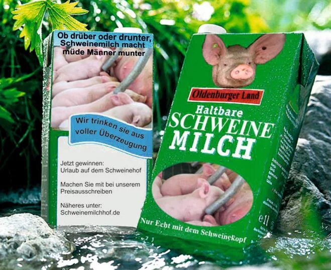 свиное молоко купить. пейте свиное молоко. свиное молоко. пейте свиное молоко. заменитель свиного молока для поросят.