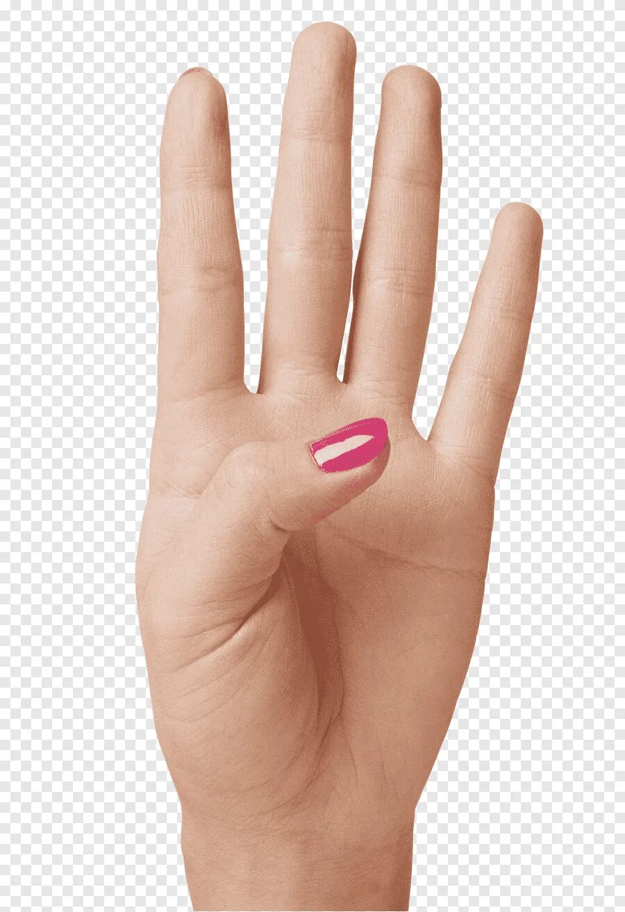 Четыре пальца на руке. Женская ладонь. Указательный палец. Женские пальцы.