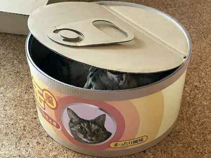 Кошка застряла в консерве