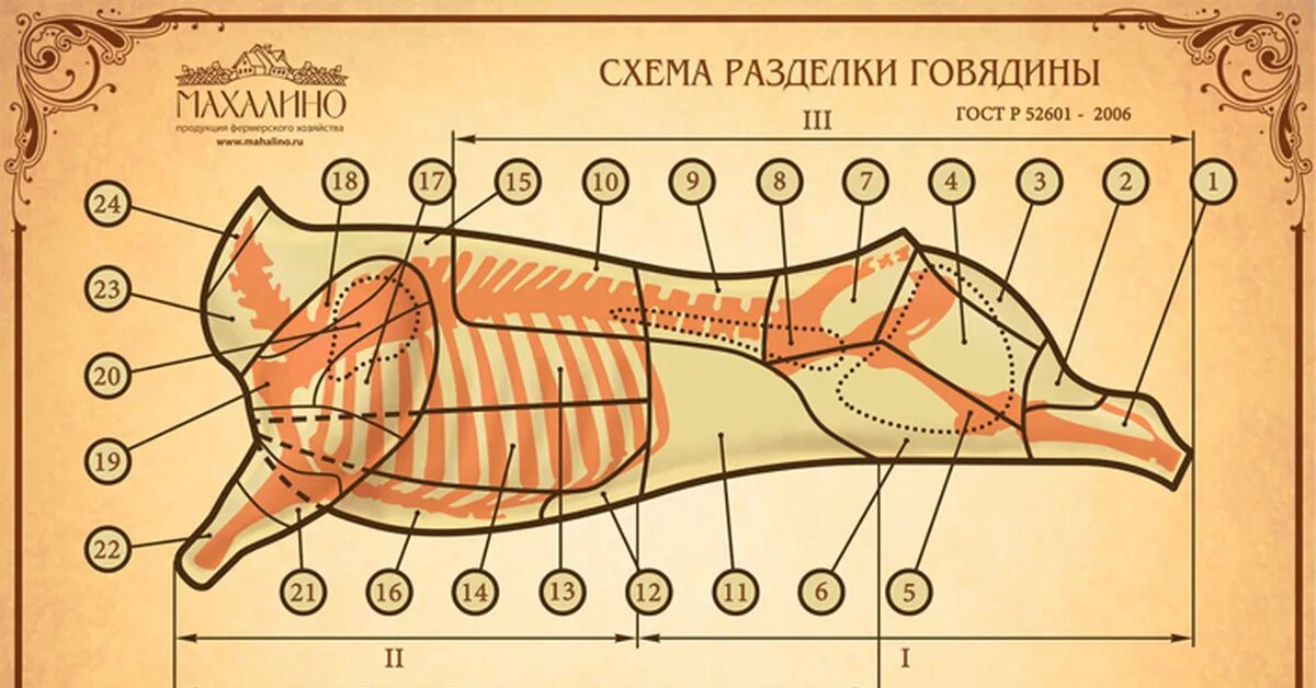 Вырезка части говядины. Говядина схема разруба говяжьей туши. Схема разделки говяжьей туши на отруба:. Говядина туша разруб схема. Туша свинины схема разруба.