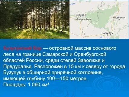 Бузулукский бор разрешение