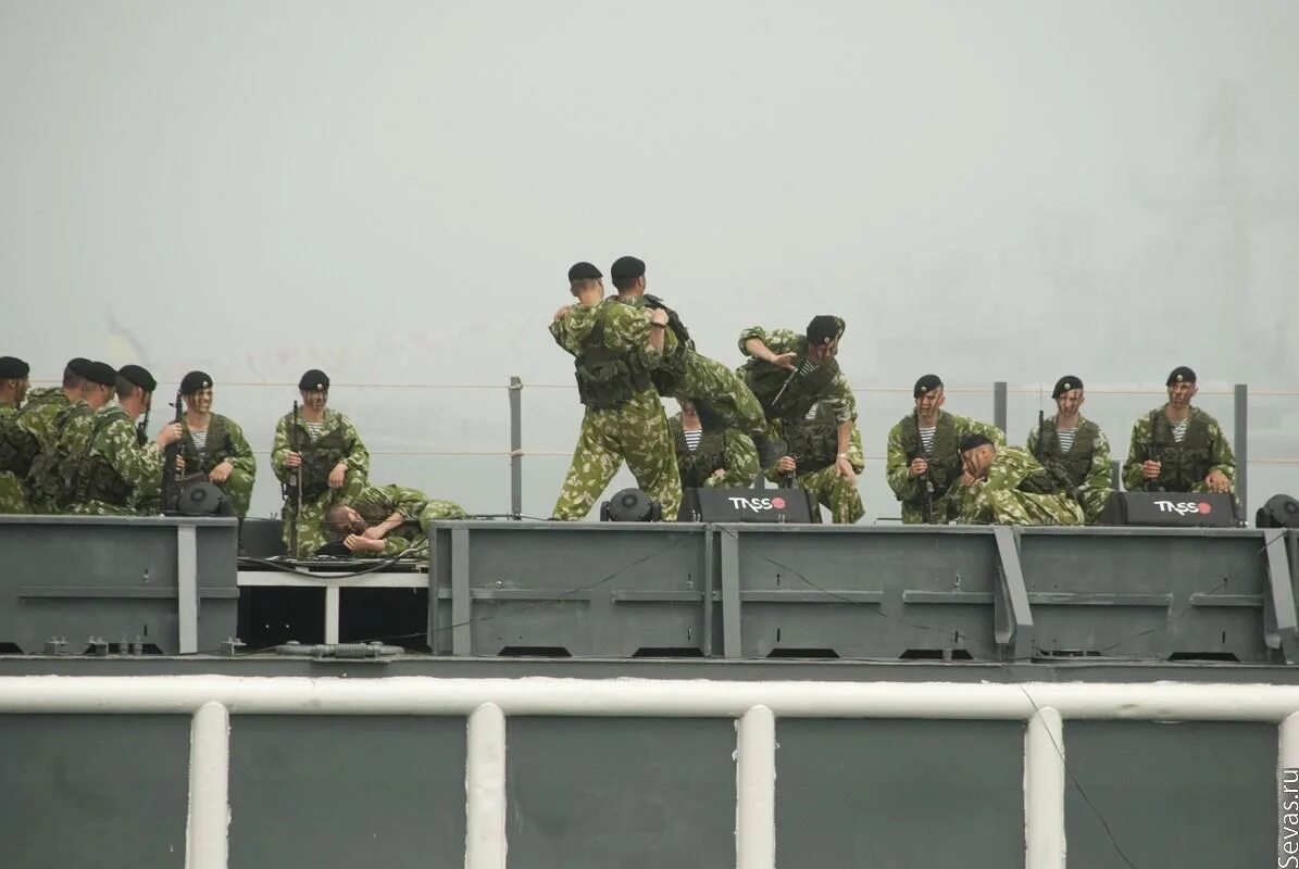 155 бригада морской пехоты. Показательные выступления морской пехоты тихоокеанского флота. Выступления морской пехоты. Выступления морской пехоты. Показательные выступления морской пехоты.