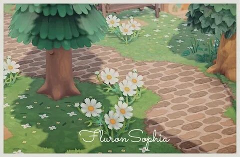 Custom path