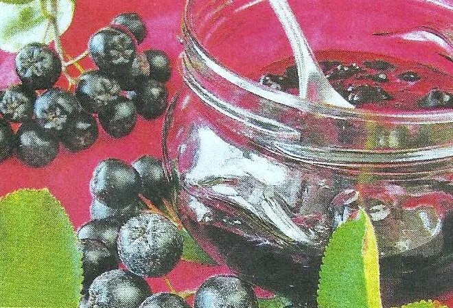 Какие заготовки на зиму из черноплодной рябины. Какие заготовки на зиму из черноплодной рябины