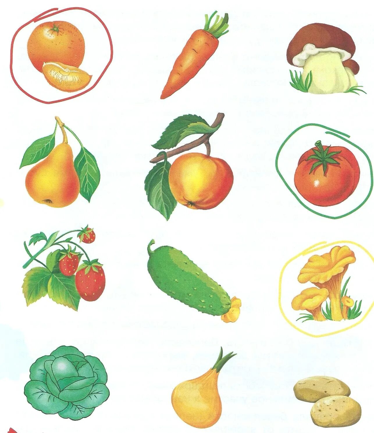 И овощ и ягода 4. Задание для малышей дифференциация овощи - фрукты. Овощи задание для малышей 2 лет. Задания на тему фрукты. Фрукты задания для дошкольников.