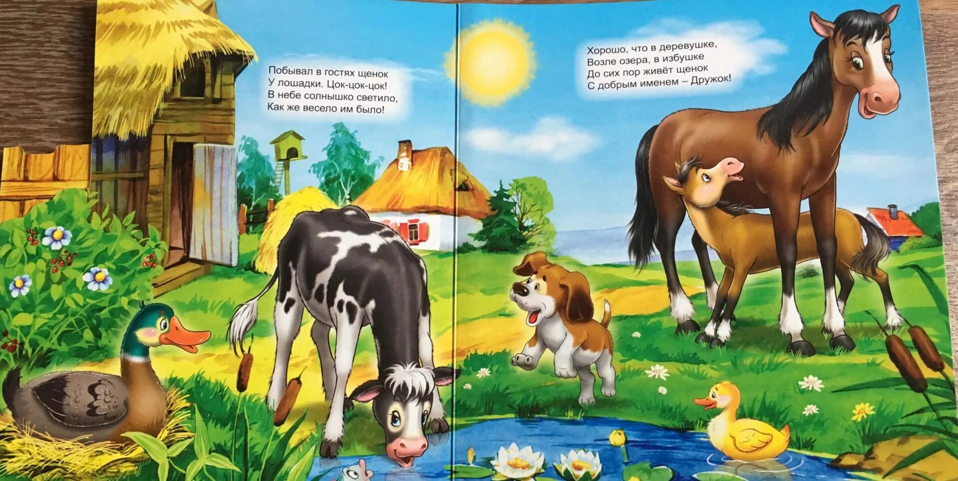 Книги о домашних животных читать. Домашние животные книга для детей. Детские книжки дом животные. Обложка для книжки домашние животные.