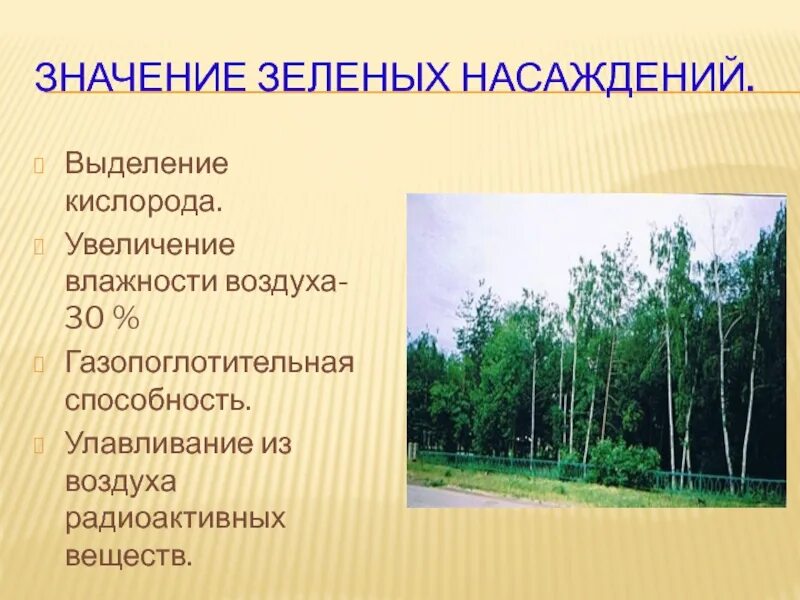 Что значит зеленая зона. Роль зеленых насаждений в городе. Функции зеленых насаждений в городе. Значение зеленых насаждений. Санитарно-гигиенические функции зеленых насаждений.