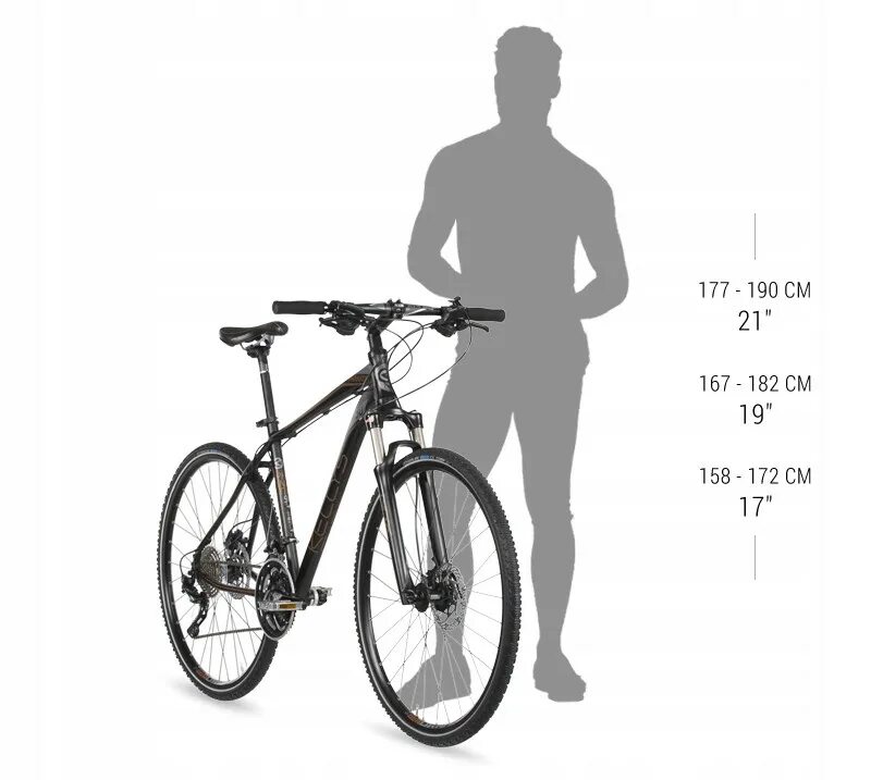 Размер велосипеда s. Велосипед Kellys Physio 50. Ростовка рам для велосипедов Trek. Ростовка горного велосипеда. Размер рамы горного велосипеда 19.