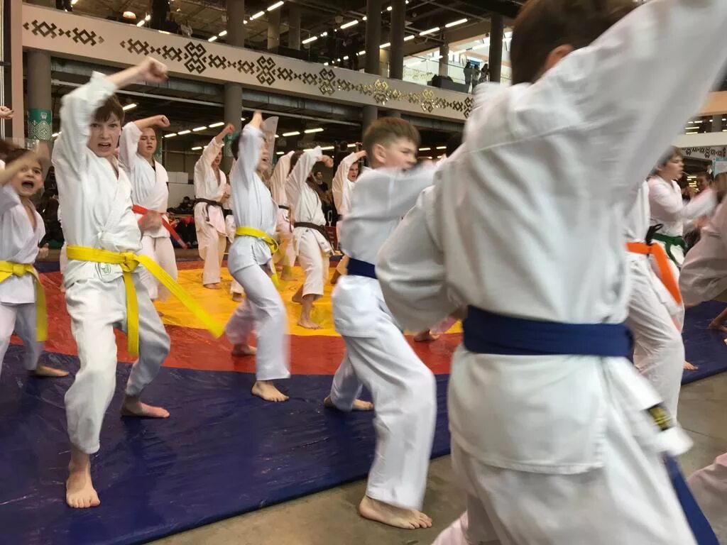 Показательные выступления по киокусинкай карате. Показательные выступления каратистов. Каратэ показательные выступления. Боевые искусства боевые искусства. Кенбукай каратэ киокушинкай.