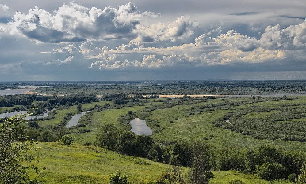 Гладкая поверхность края. Формы земной поверхности Нижегородской области. Формы земной поверхности Рязанской области. Земная поверхность в Нижнем Новгороде. Москворецко-Окская равнина.