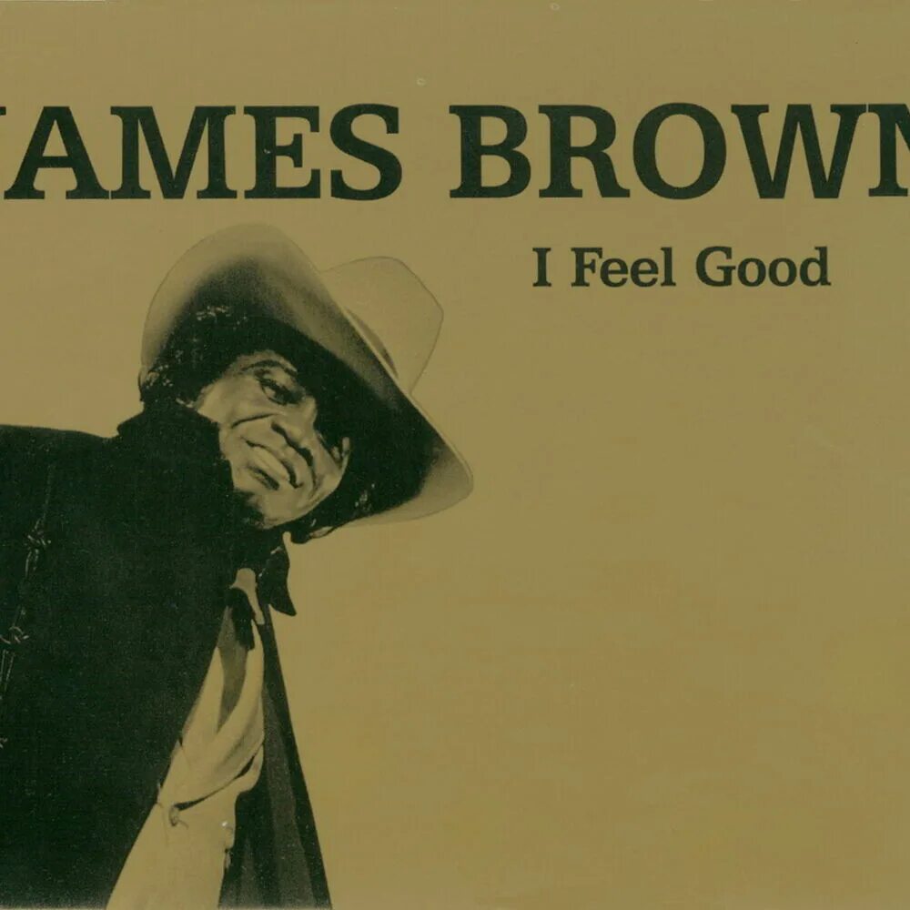 I can brown. I feel good James Brown обложка. James Brown i got you (i feel good) обложка.