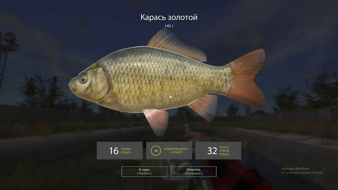 Плотва комариное рр4. Золотой карась рр4.