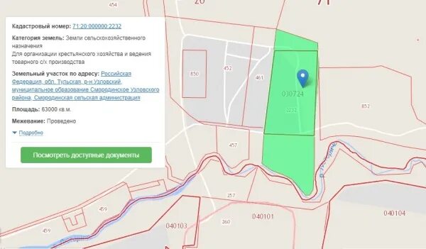 Кадастровые участки пенза. Кадастровые участки пенза. Земельный кадастр. Чемодановка пензенская область карта. Кадастровая стоимость 1 сотки земли.