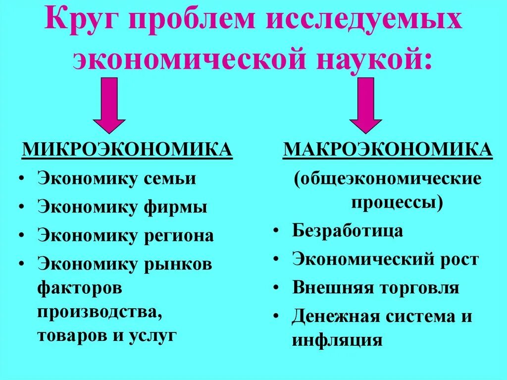 Изучение общество экономика. Макроэкономика исследует проблемы. Круг проблем, исследуемых экономической наукой. Макроэкономические и микроэкономические проблемы. Проблемы экономической науки.