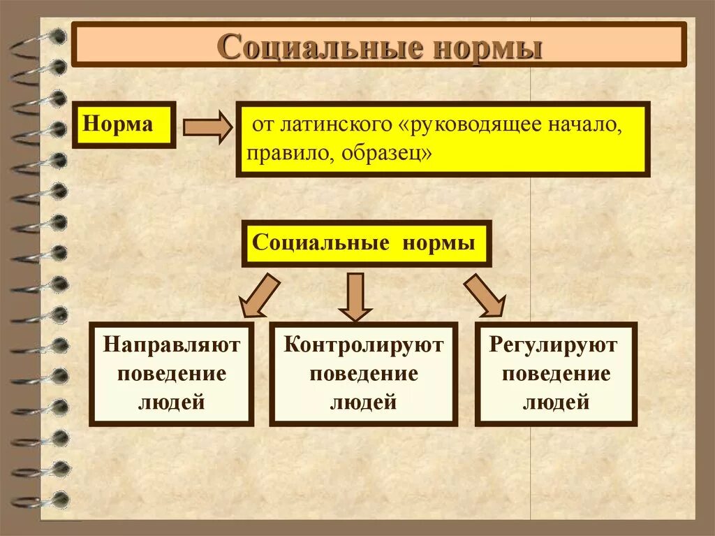 Объясните смысл социальные нормы. Социальные нормы. социальные кармы. что талке слциальные норма. что такоесрцеальные нормы.