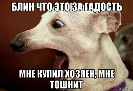Меня тошнит