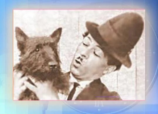 собака чаплина порода. михаил румянцев карандаш. клоун карандаш цирк никулина. михаил румянцев карандаш. михаил румянцев клоун.