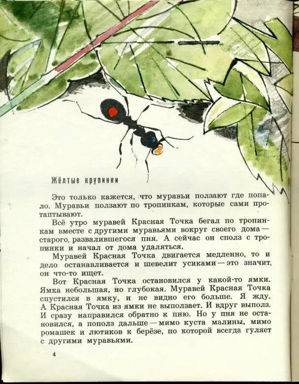 Романова н. «муравей красная точка». Романова муравей красная точка книга. Рассказ о муравьях. Сказка про муравьев. Читать серые муравьи