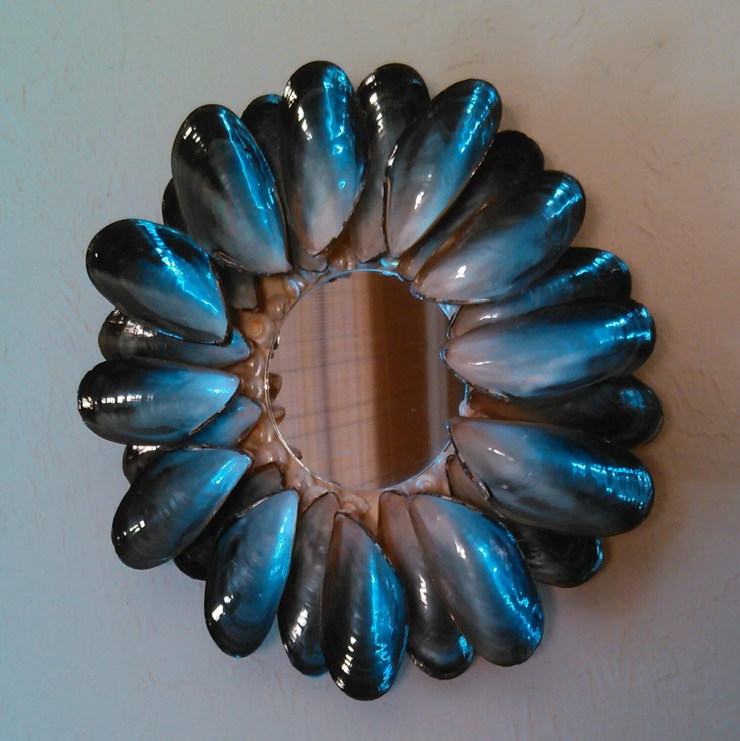 Бабочка из ракушек. Поделки из мидий. Поделки из ракушек мидий. Поделки из раковин мидий. Поделки из раковин мидий.