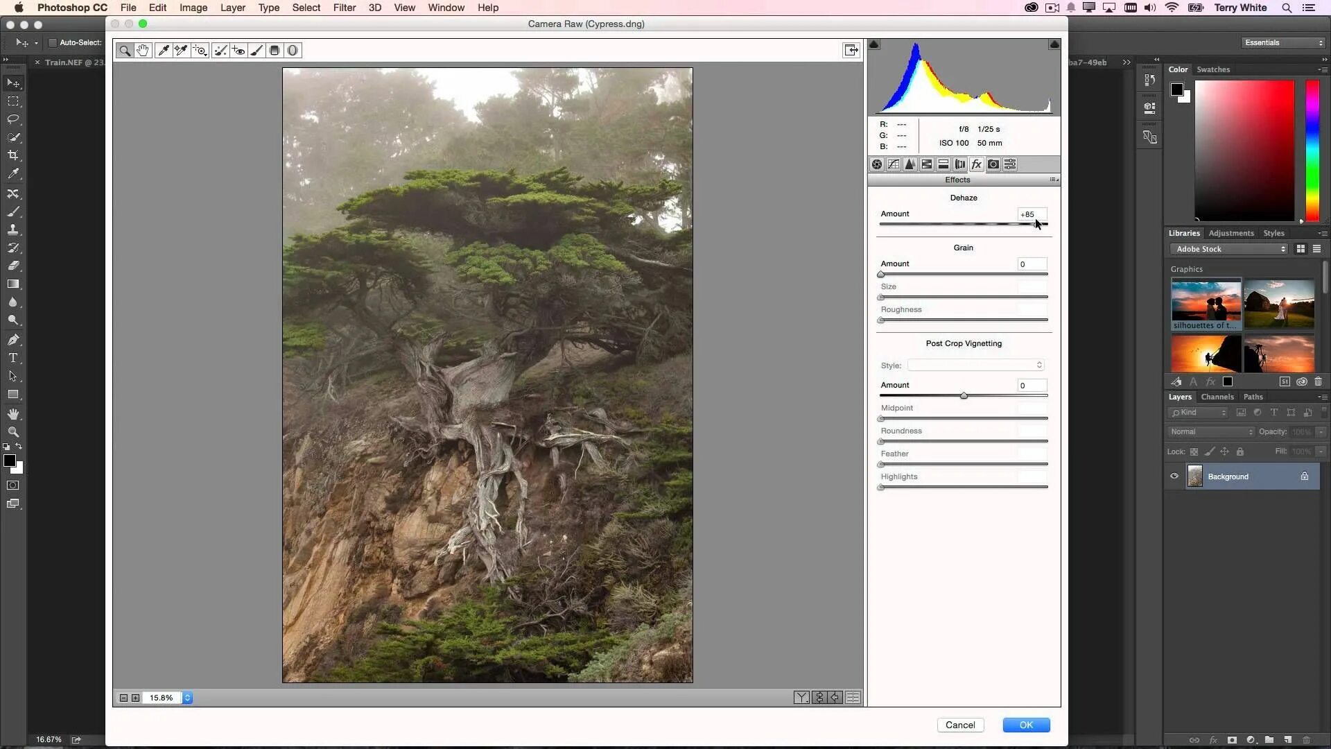 Как удалить raw. Dehaze лайтрум. фотошоп cc 2015. camera raw как открыть в фотошопе. dehaze в лайтруме что это.