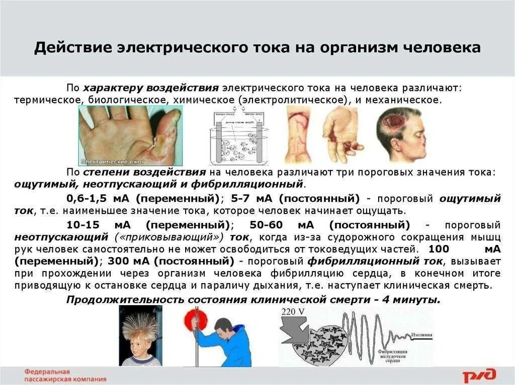 Действие электрического тока на организм человека. Воздействие тока на человека. Опасное воздействие электрического тока на организм человека. Какие воздействия на организм человека оказывает электрический ток. Термическое воздействие электрического тока на организм человека.