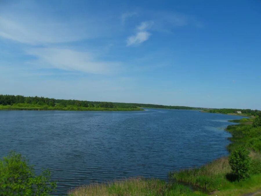 вдхр содышка владимир. река содышка во владимире. и. озеро в толоконцево нижний новгород. спасское озеро липецкая область.