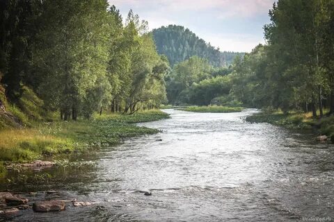 Река сия