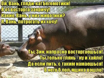 Намаешься