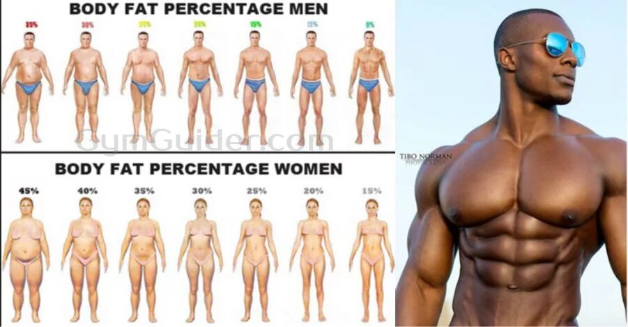 Body style width