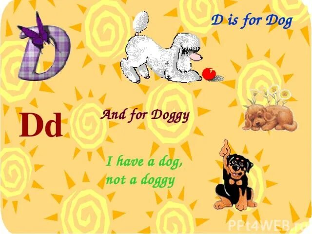 Ronda s dog is not long. D is for Dog. Not doggy. Как наурить англискаму2класса Азбука. Card for doggy.