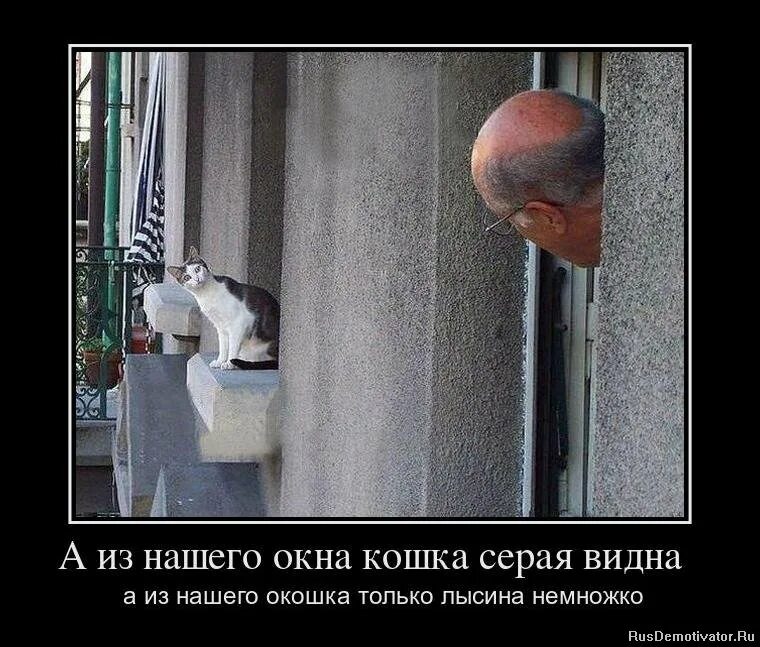 иллюстрации к стихотворению а что у вас михалкова. окно демотиватор. стихотворение а из нашего окна площадь красная. а из вашего окошка только улица немножко. михалков а из нашего окна площадь красная.