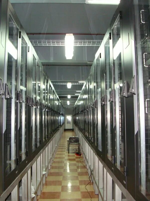 дата центр славянский. жк эдельвейс давыдковская. давыдковская, д. эдельвейс давыдковская 3. славянский бульвар, москва, давыдковская улица, 3.